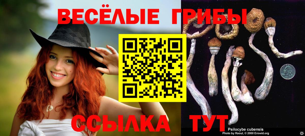 Галлюциногенные грибы мухоморы Светлоград