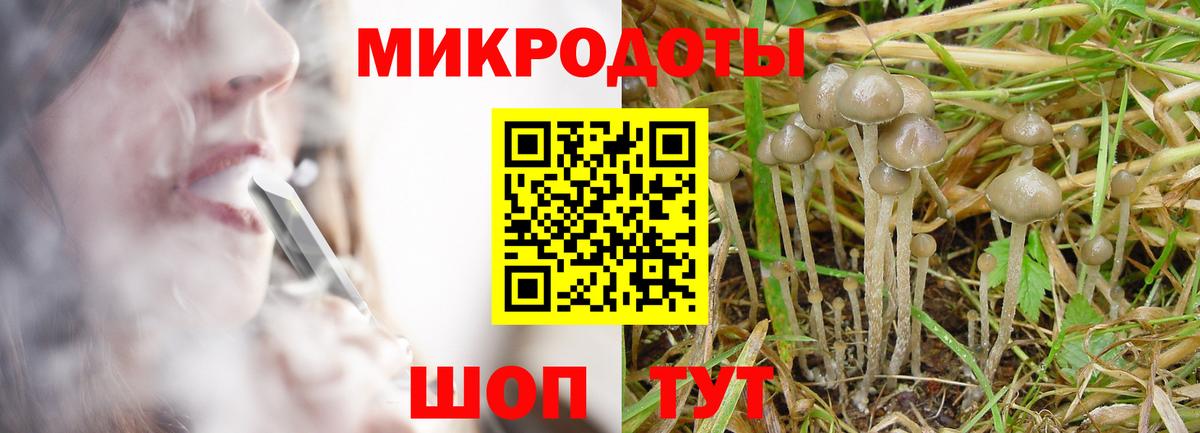 Светлоград  Псилоцибиновые грибы прущие грибы  Вход с VPN  Псилоцибиновые грибы прущие грибы 